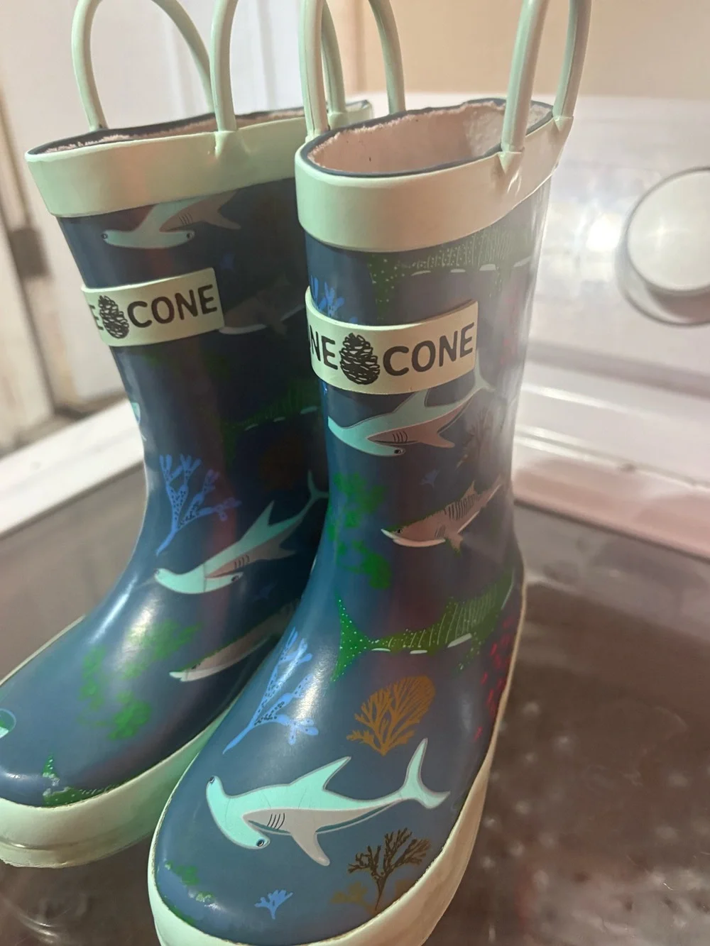 Lone Cone Rain Boots
